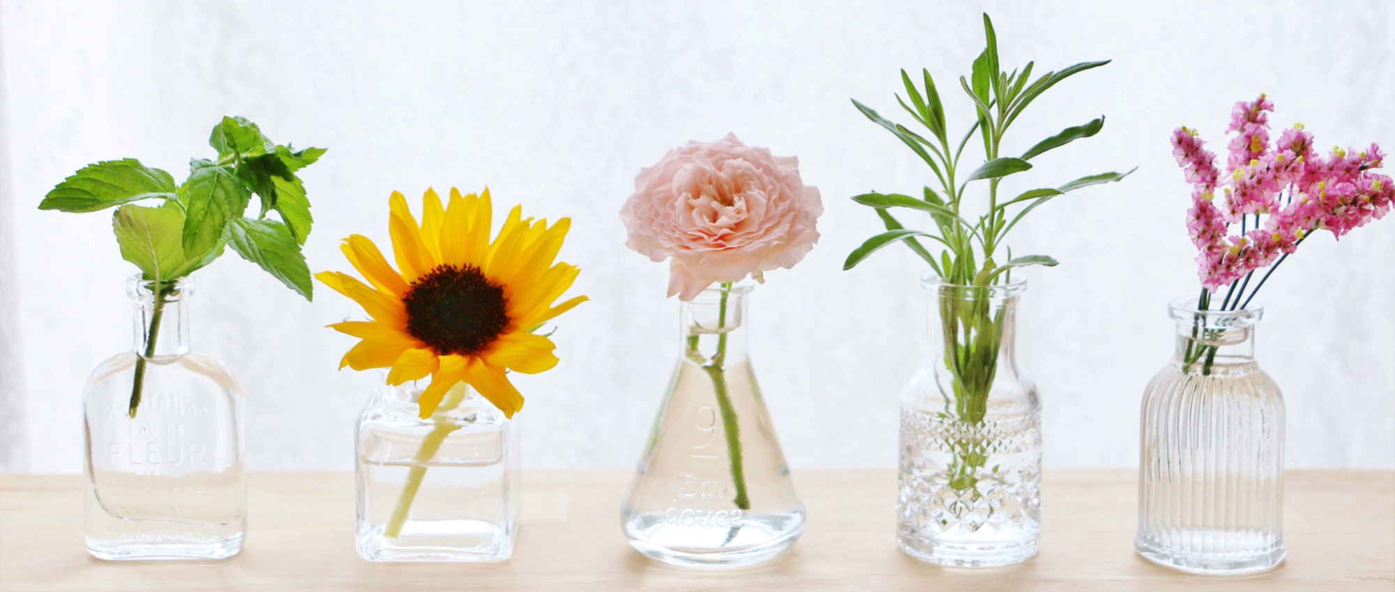 ドレミ調剤薬局、宇都宮市岩曽町、地蔵前停留所、調剤薬局